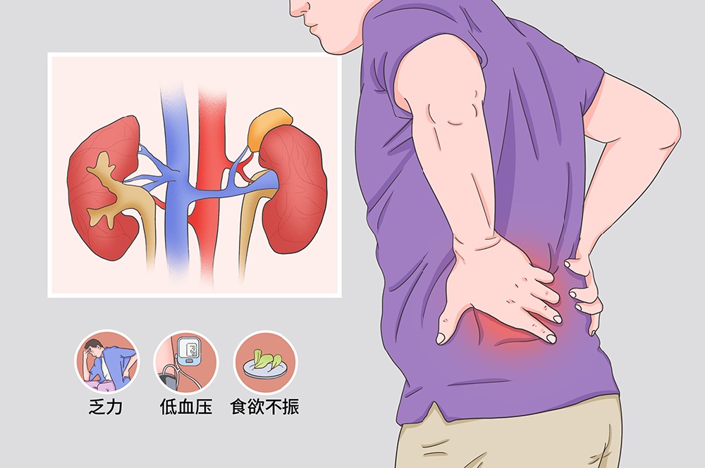 肾衰表现.jpg