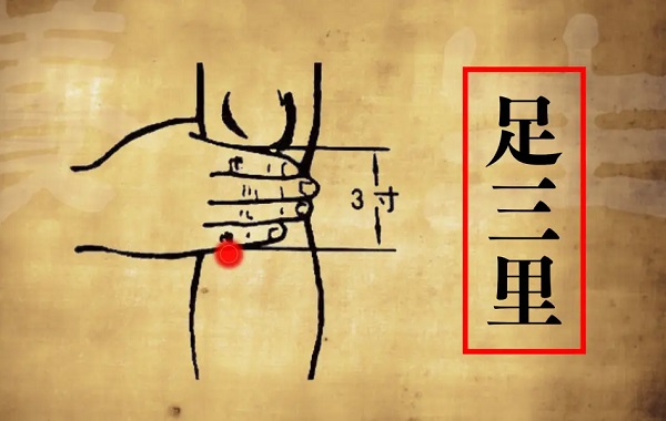 足三里.jpg