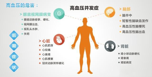 高血压01_副本.jpg